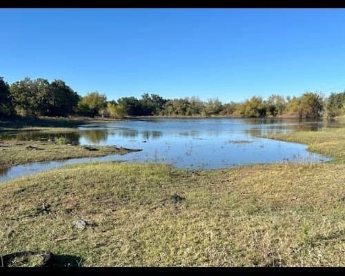 40 acres in Eastland County - photo 3