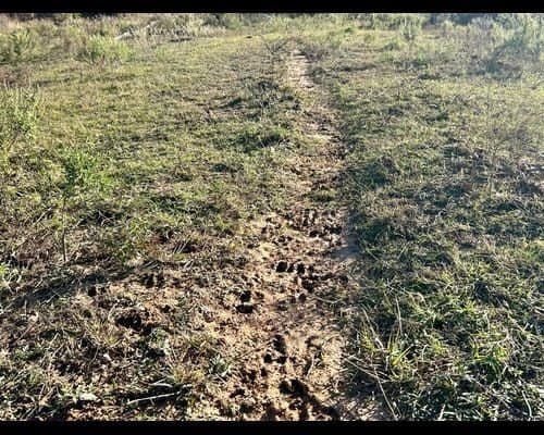 40 acres in Eastland County - photo 8