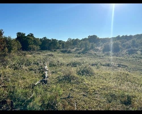 40 acres in Eastland County - photo 7