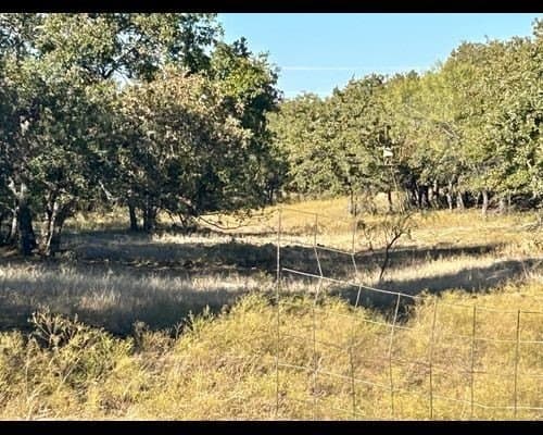 40 acres in Eastland County - photo 17