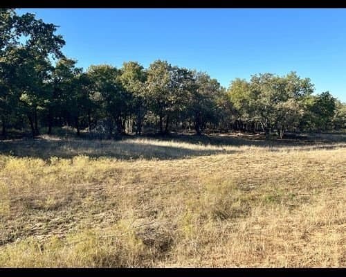 40 acres in Eastland County - photo 13