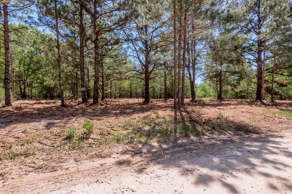 1.17 acres in HOUSTON County gallery image 4