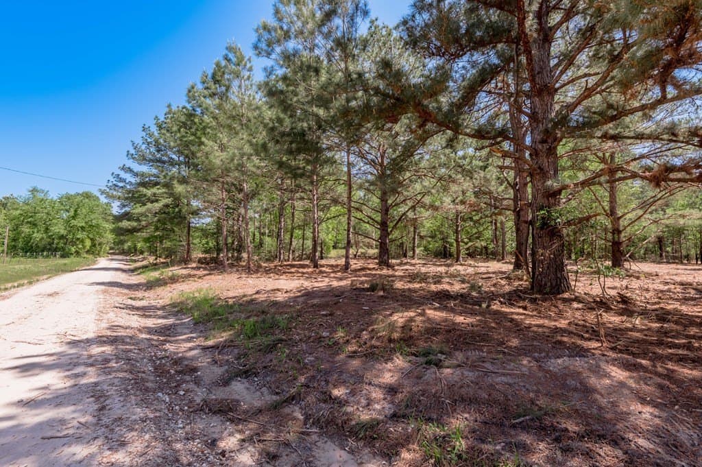 1.17 acres in HOUSTON County featured view