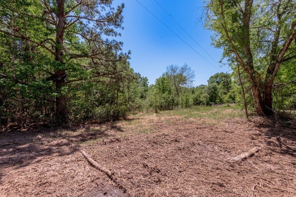 1.17 acres in HOUSTON County - photo 8