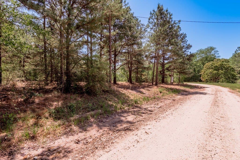 1.17 acres in HOUSTON County gallery image 3