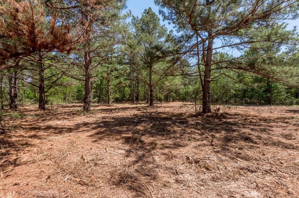 1.17 acres in HOUSTON County - photo 6