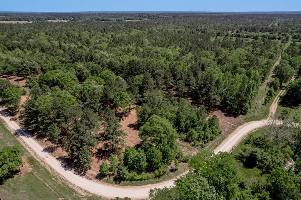 1.17 acres in HOUSTON County - photo 19