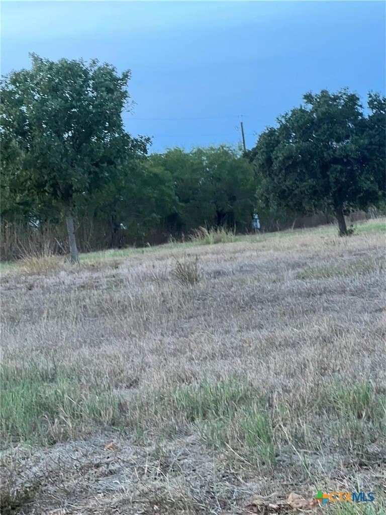 0.5 acres in Gonzales County - photo 19