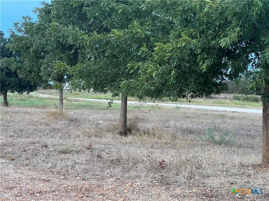 0.5 acres in Gonzales County - photo 20