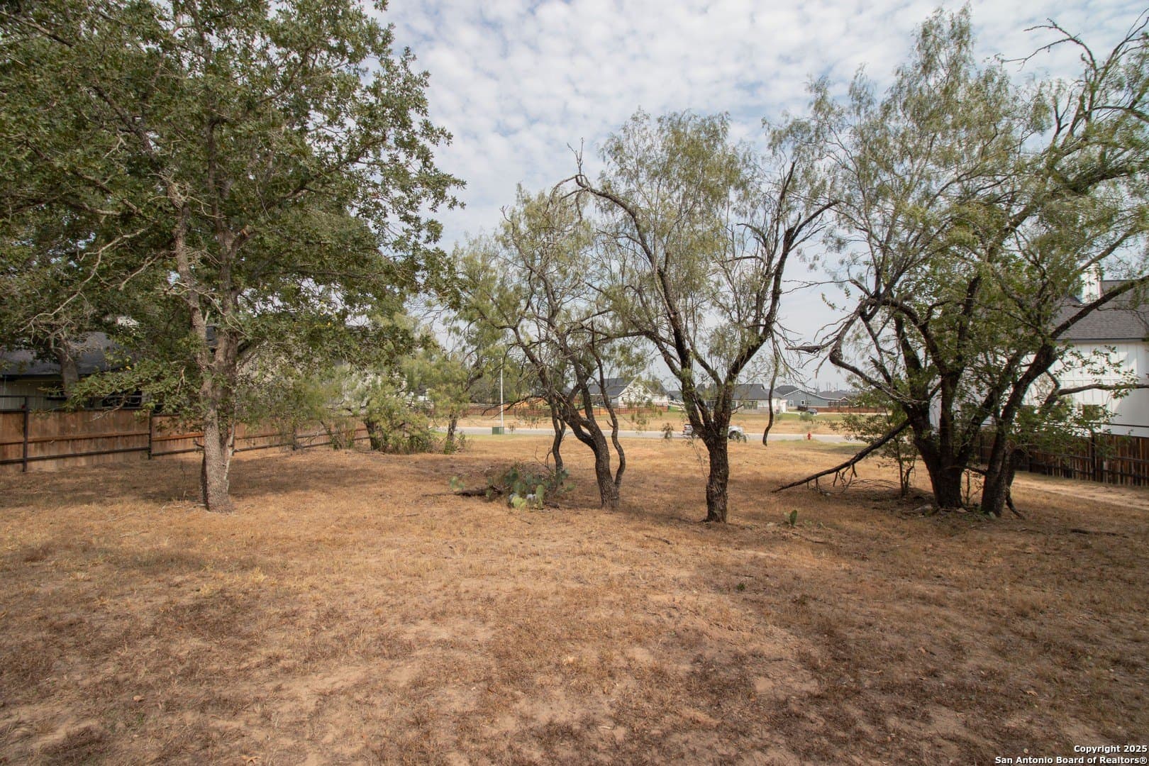 0.3 acres in Wilson County gallery image 2