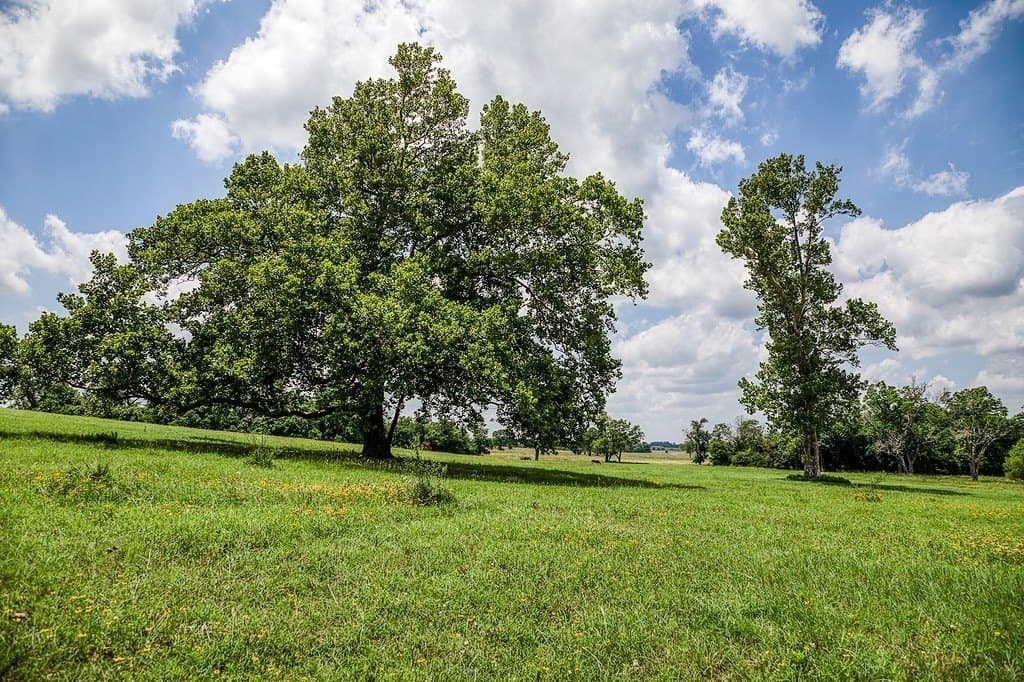 84.25 acres in Washington County - photo 17
