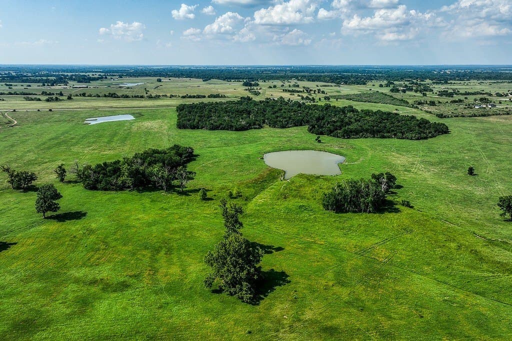 84.25 acres in Washington County - photo 12