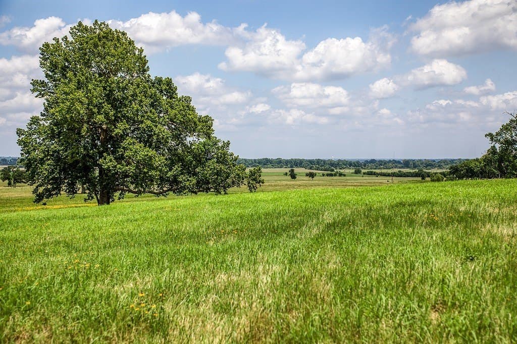 84.25 acres in Washington County - photo 19