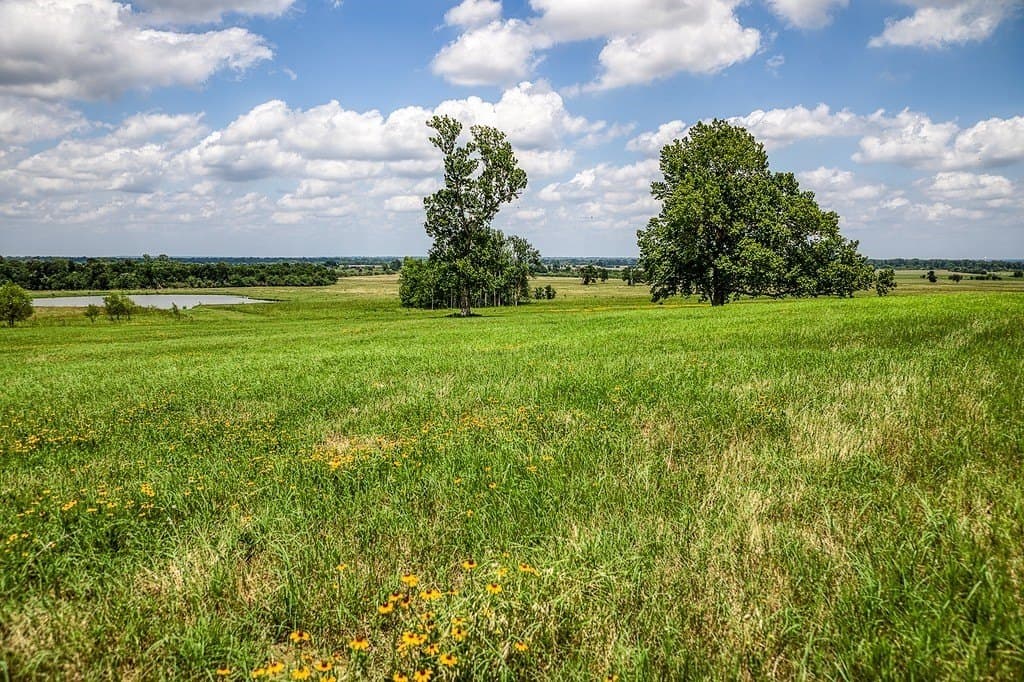 84.25 acres in Washington County - photo 20