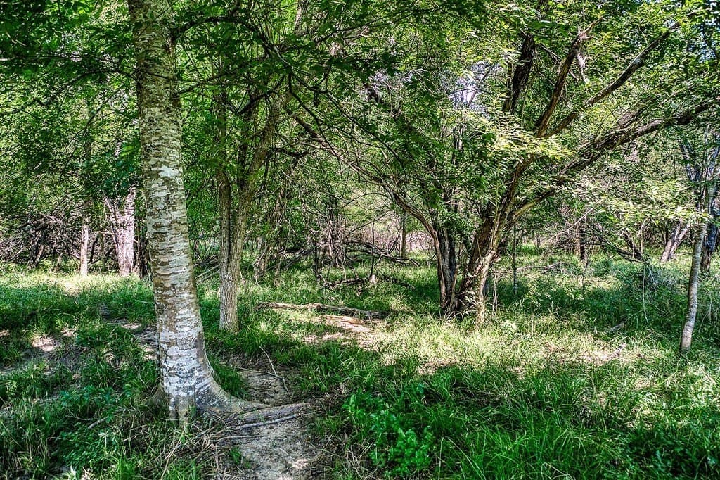 84.25 acres in Washington County - photo 27