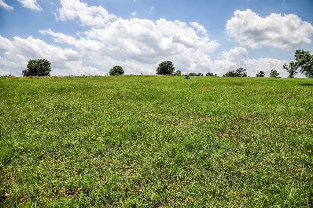 84.25 acres in Washington County - photo 16