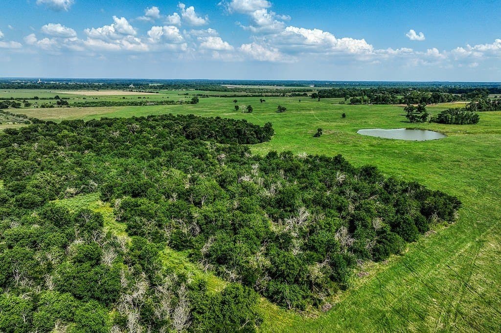 84.25 acres in Washington County - photo 8
