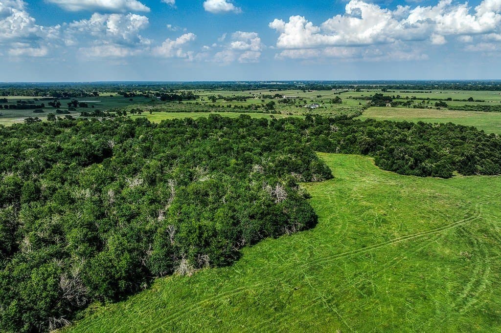 84.25 acres in Washington County - photo 9