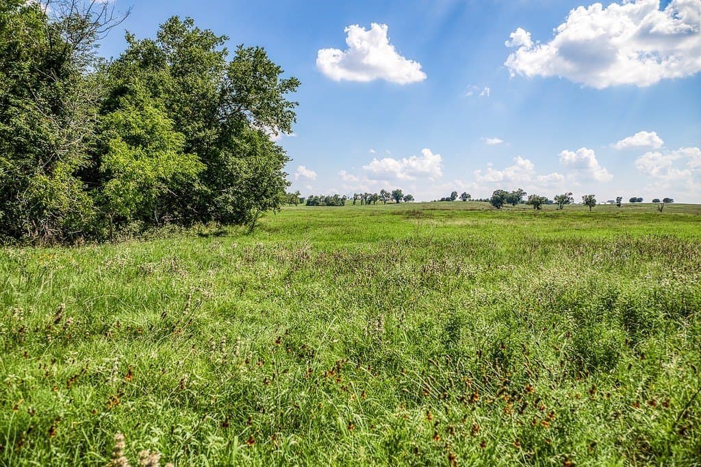 84.25 acres in Washington County - photo 30