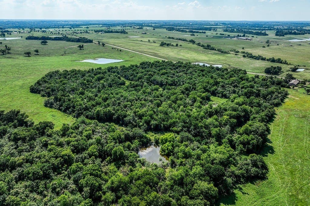 84.25 acres in Washington County - photo 15