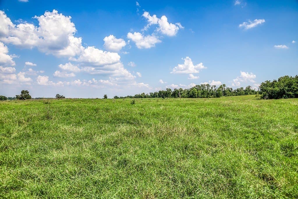 84.25 acres in Washington County - photo 25