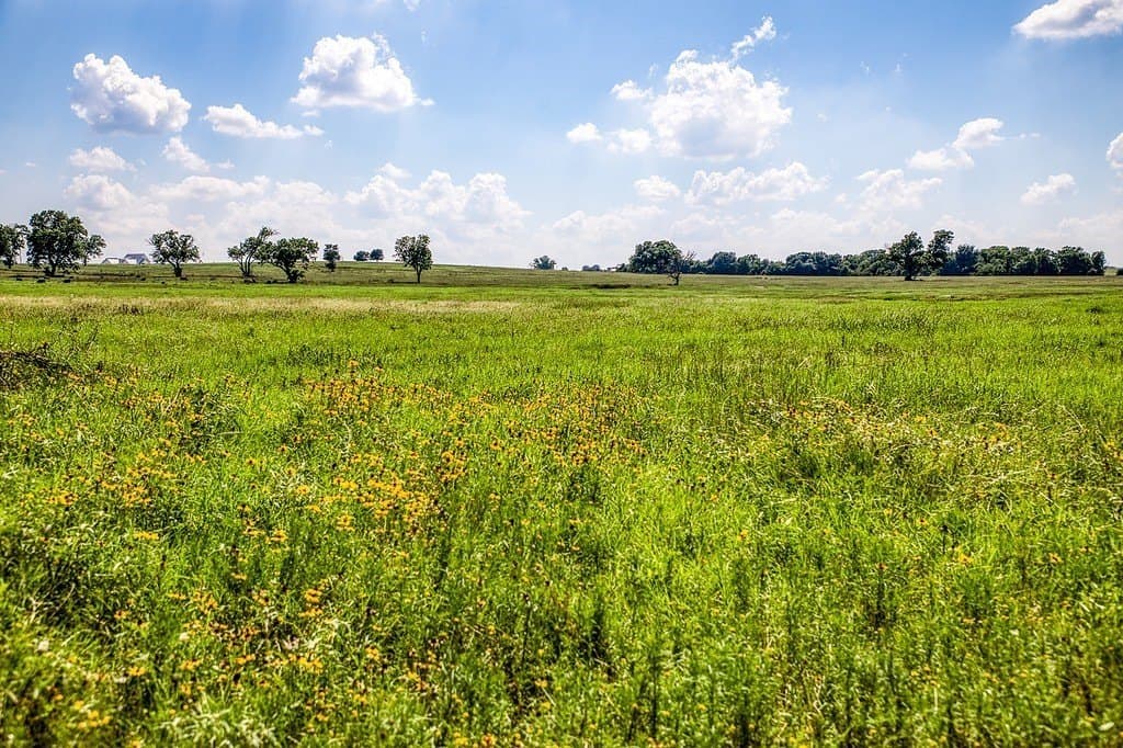 84.25 acres in Washington County - photo 26