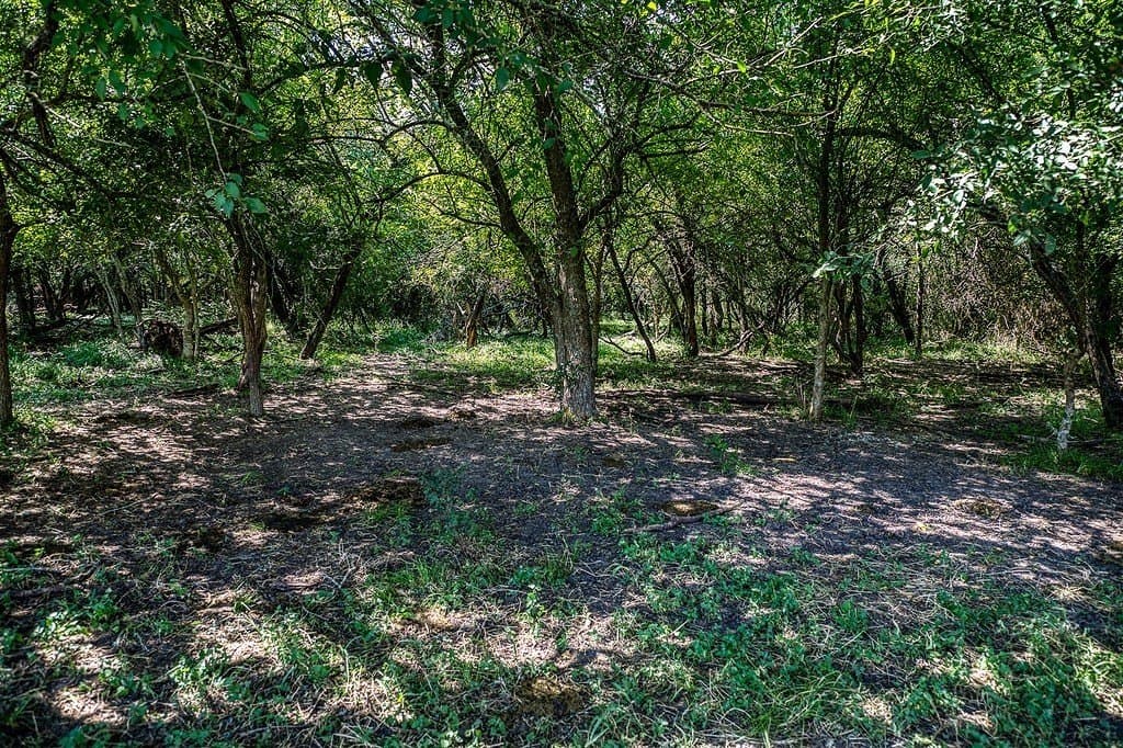 84.25 acres in Washington County - photo 22