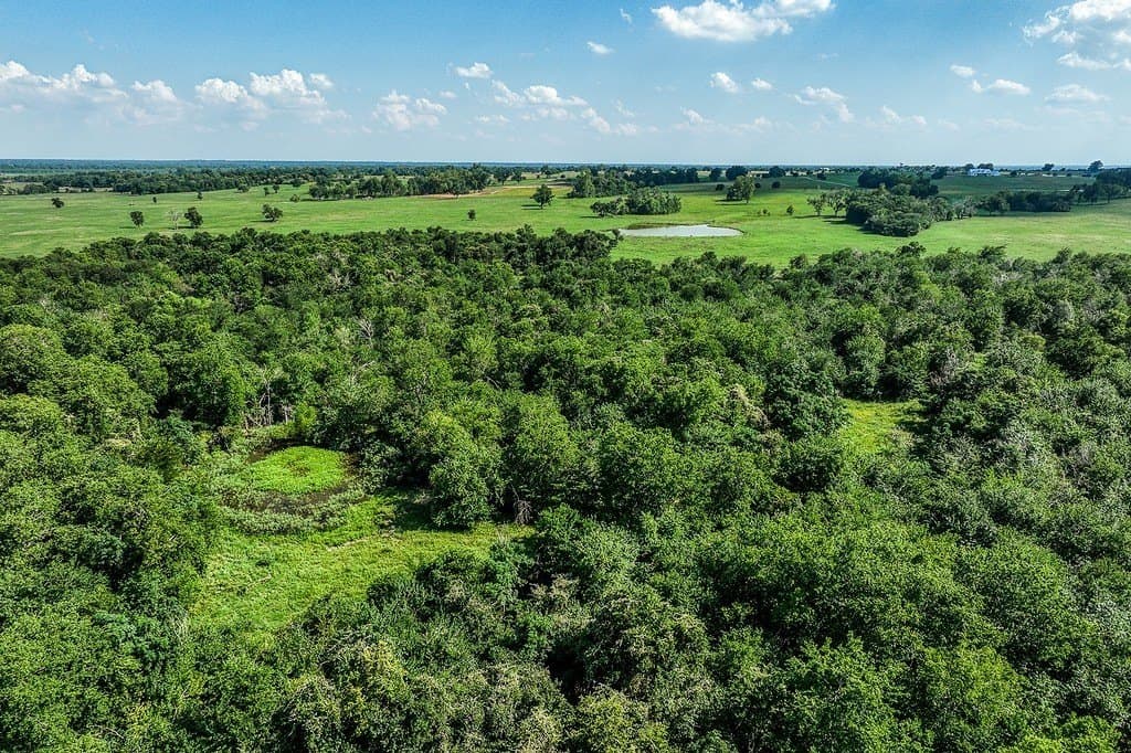 84.25 acres in Washington County - photo 7