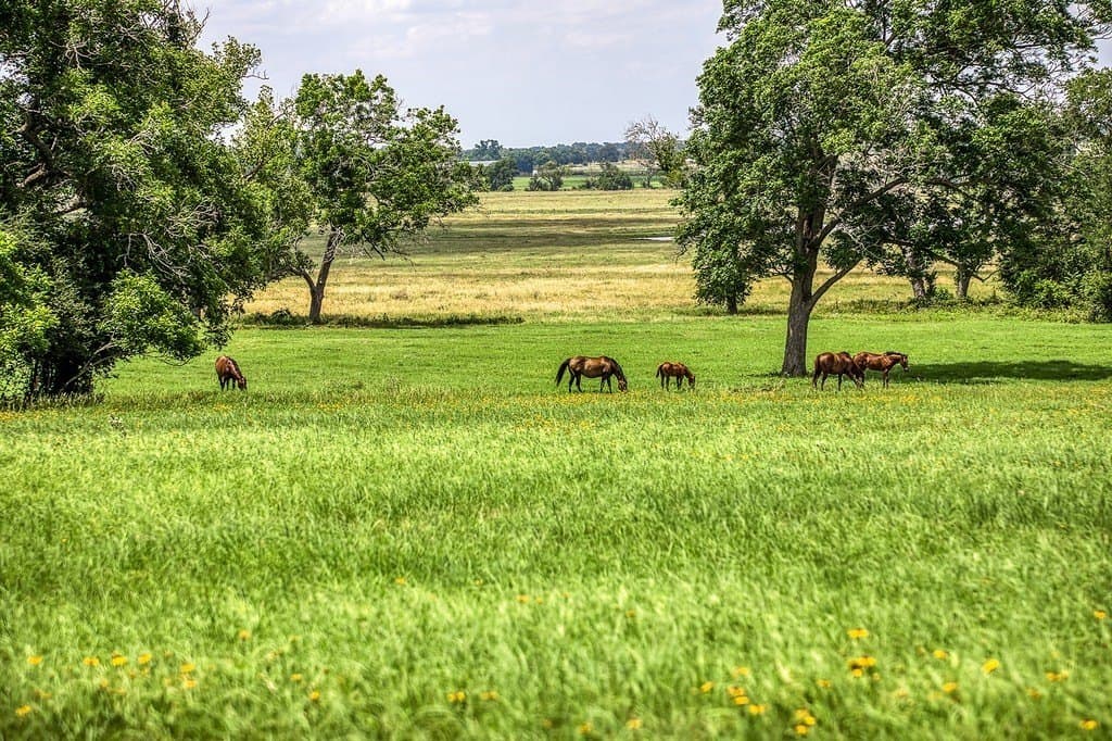 84.25 acres in Washington County - photo 3
