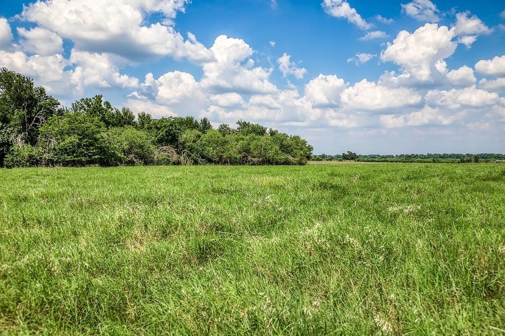 84.25 acres in Washington County - photo 23
