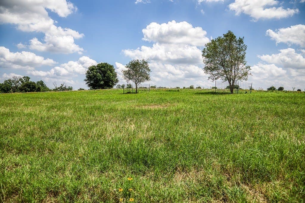 84.25 acres in Washington County - photo 18