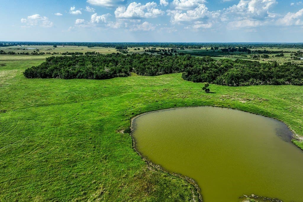 84.25 acres in Washington County - photo 10