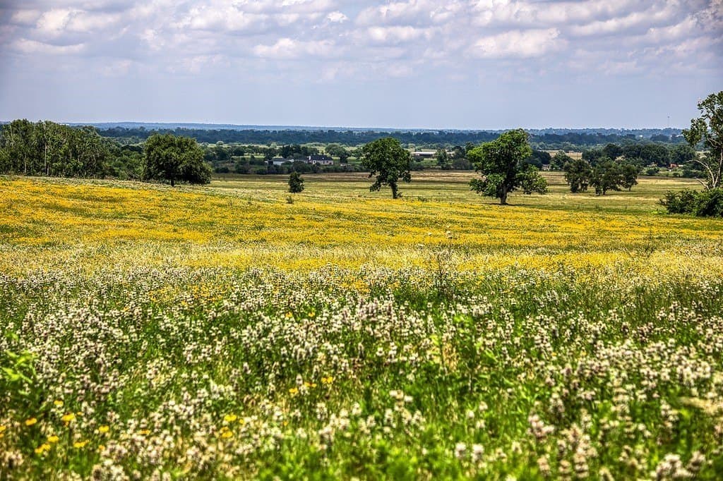84.25 acres in Washington County - photo 2