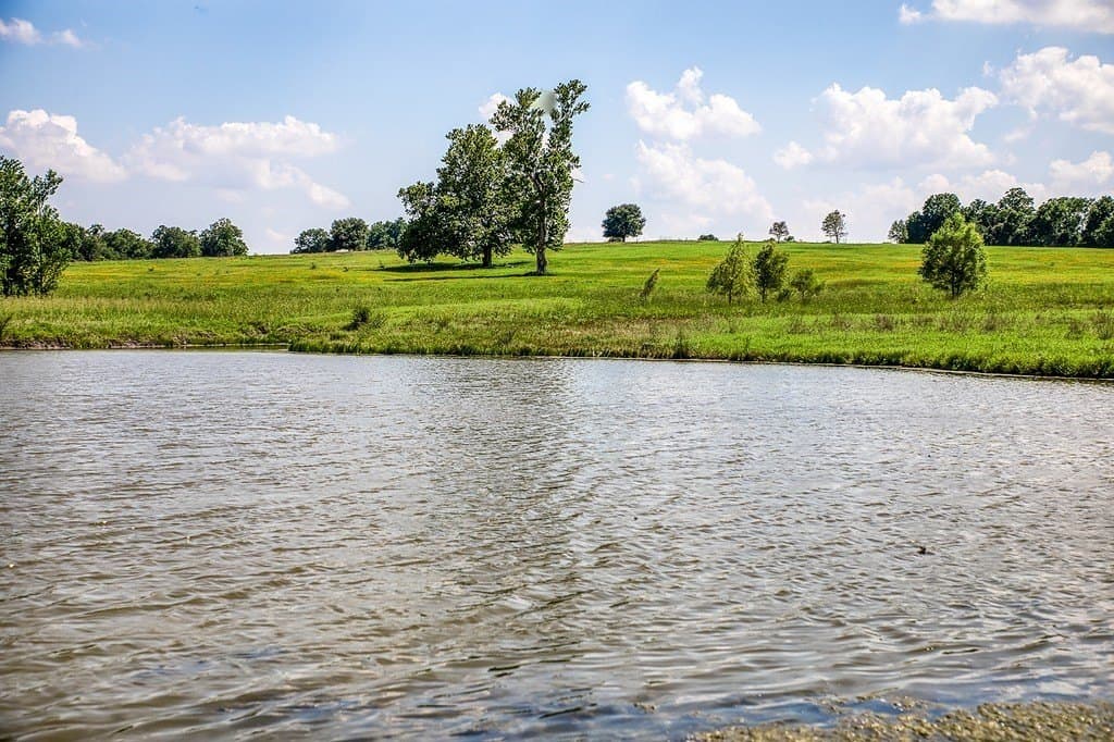 84.25 acres in Washington County - photo 24