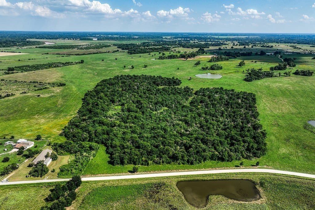 84.25 acres in Washington County - photo 5