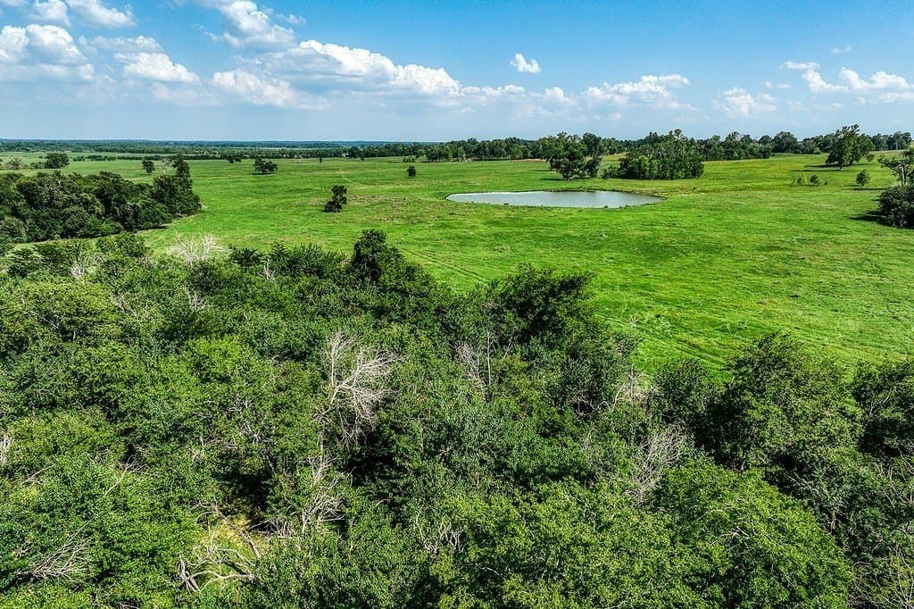 84.25 acres in Washington County - photo 6