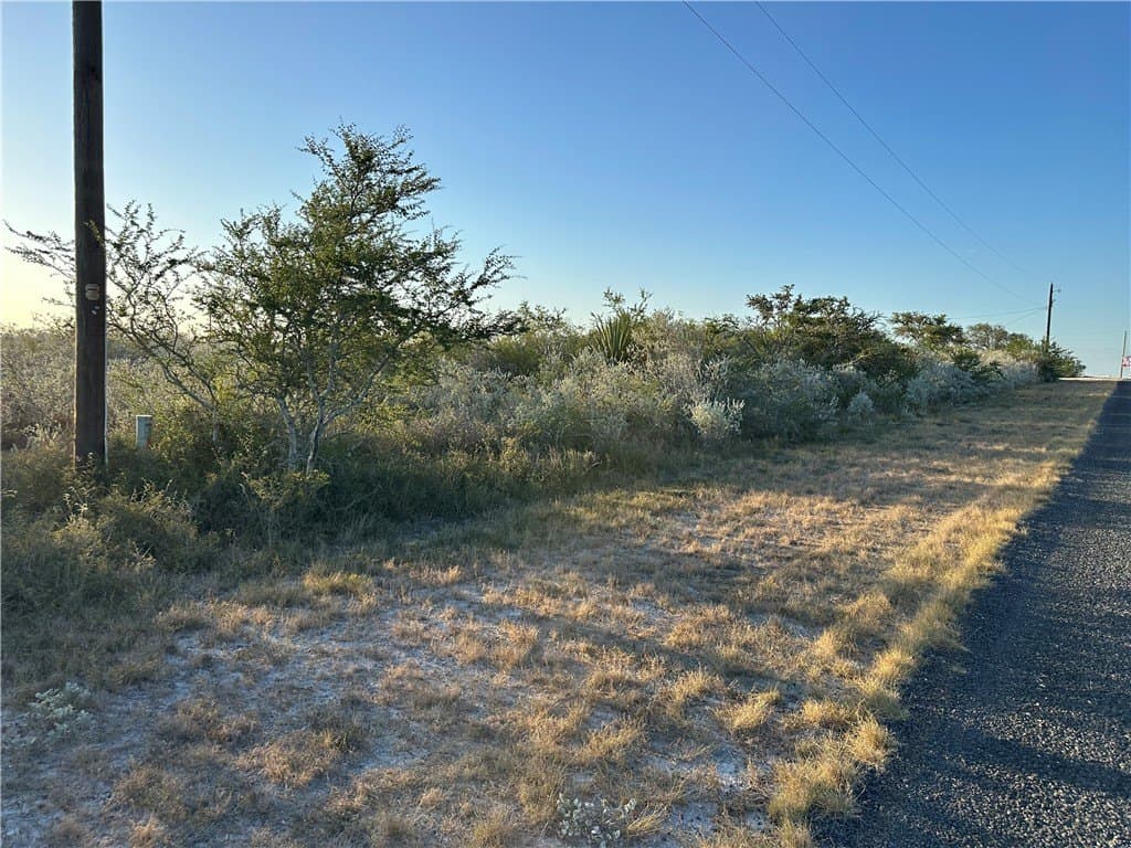 0.49 acres in Live Oak County - photo 2