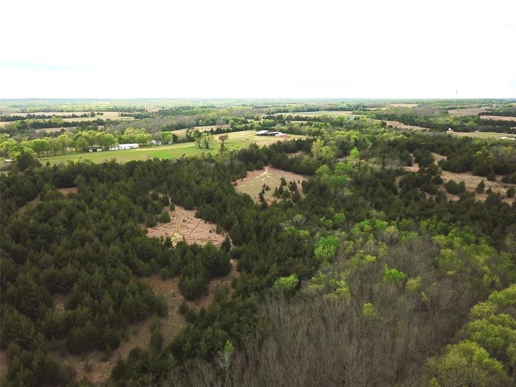 279 acres in Fannin County gallery image 3