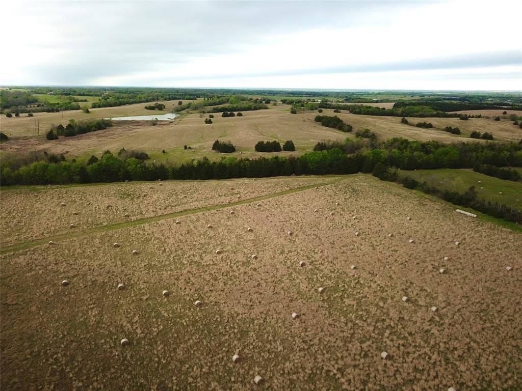 279 acres in Fannin County gallery image 2
