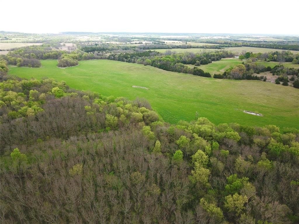 279 acres in Fannin County gallery image 4
