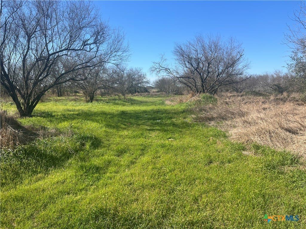 20.61 acres in Victoria County - photo 7