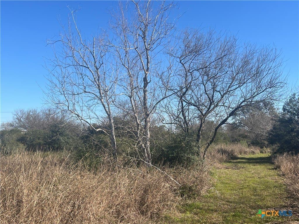 20.61 acres in Victoria County - photo 12