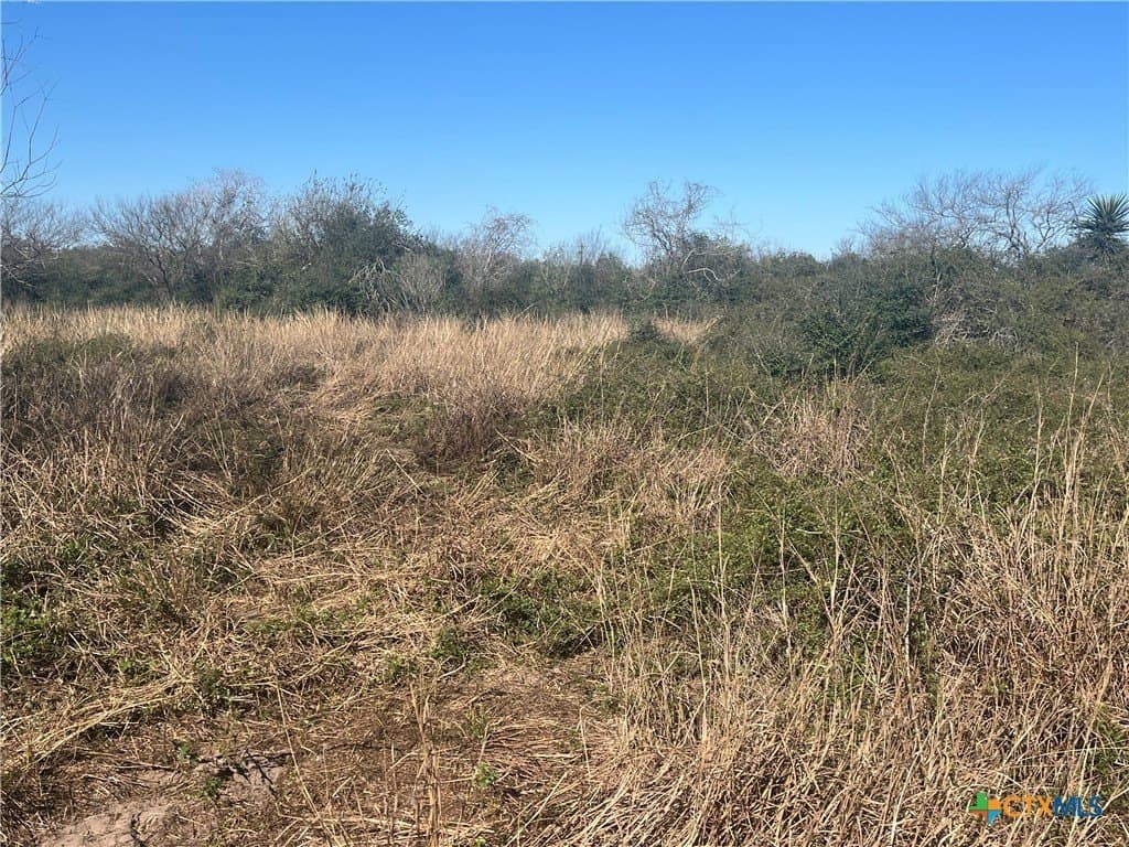 20.61 acres in Victoria County - photo 14