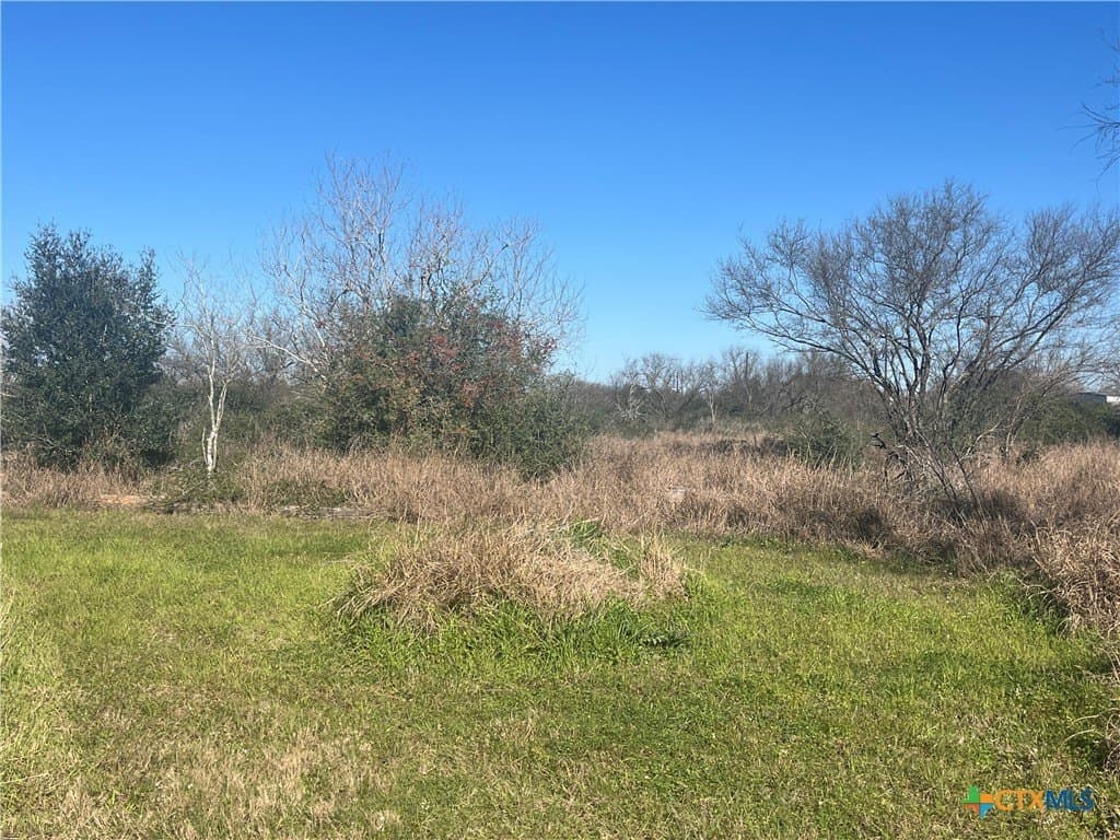 20.61 acres in Victoria County - photo 9