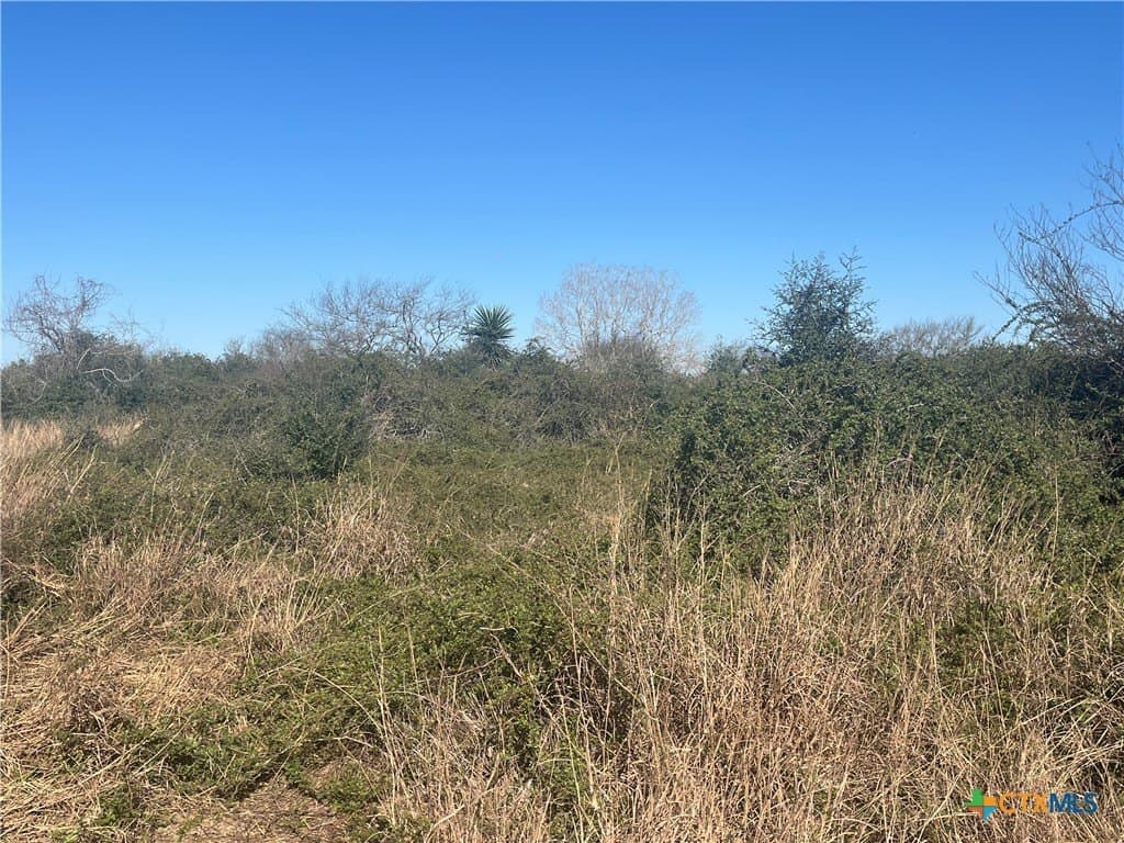 20.61 acres in Victoria County - photo 13