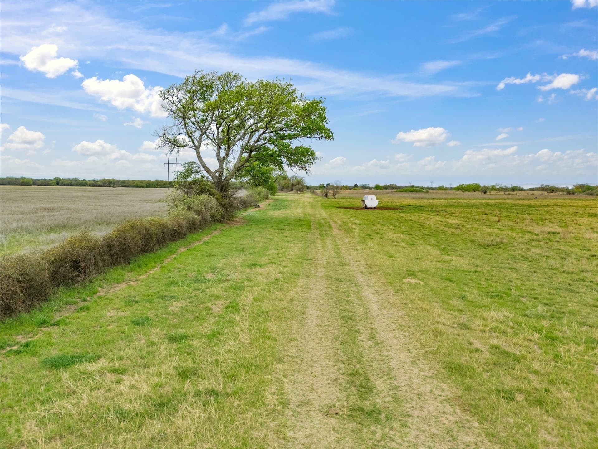 20 acres in Wise County gallery image 3