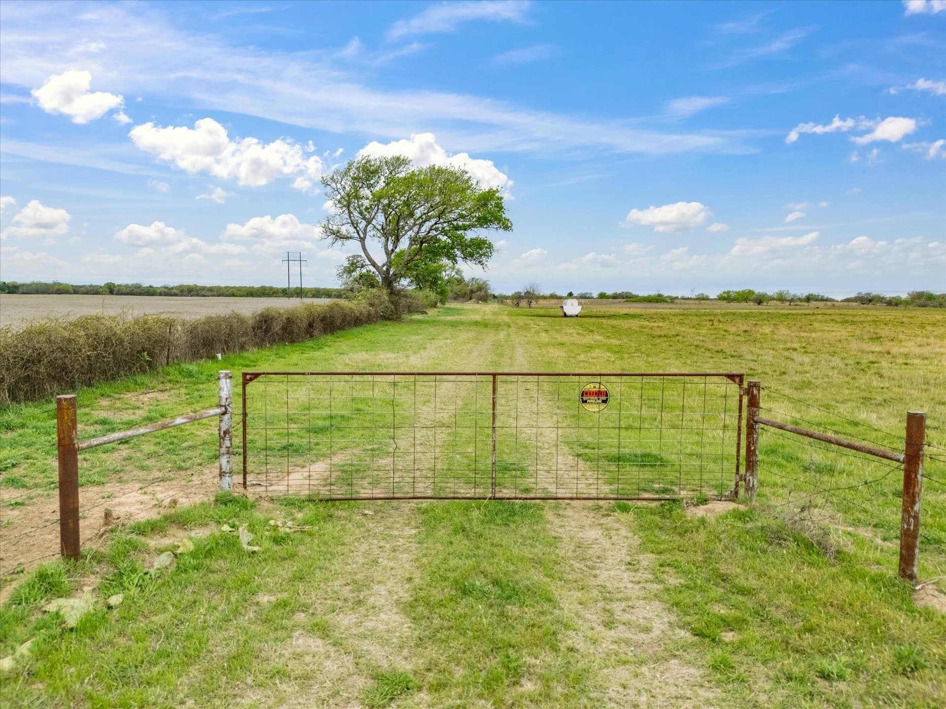 20 acres in Wise County gallery image 2