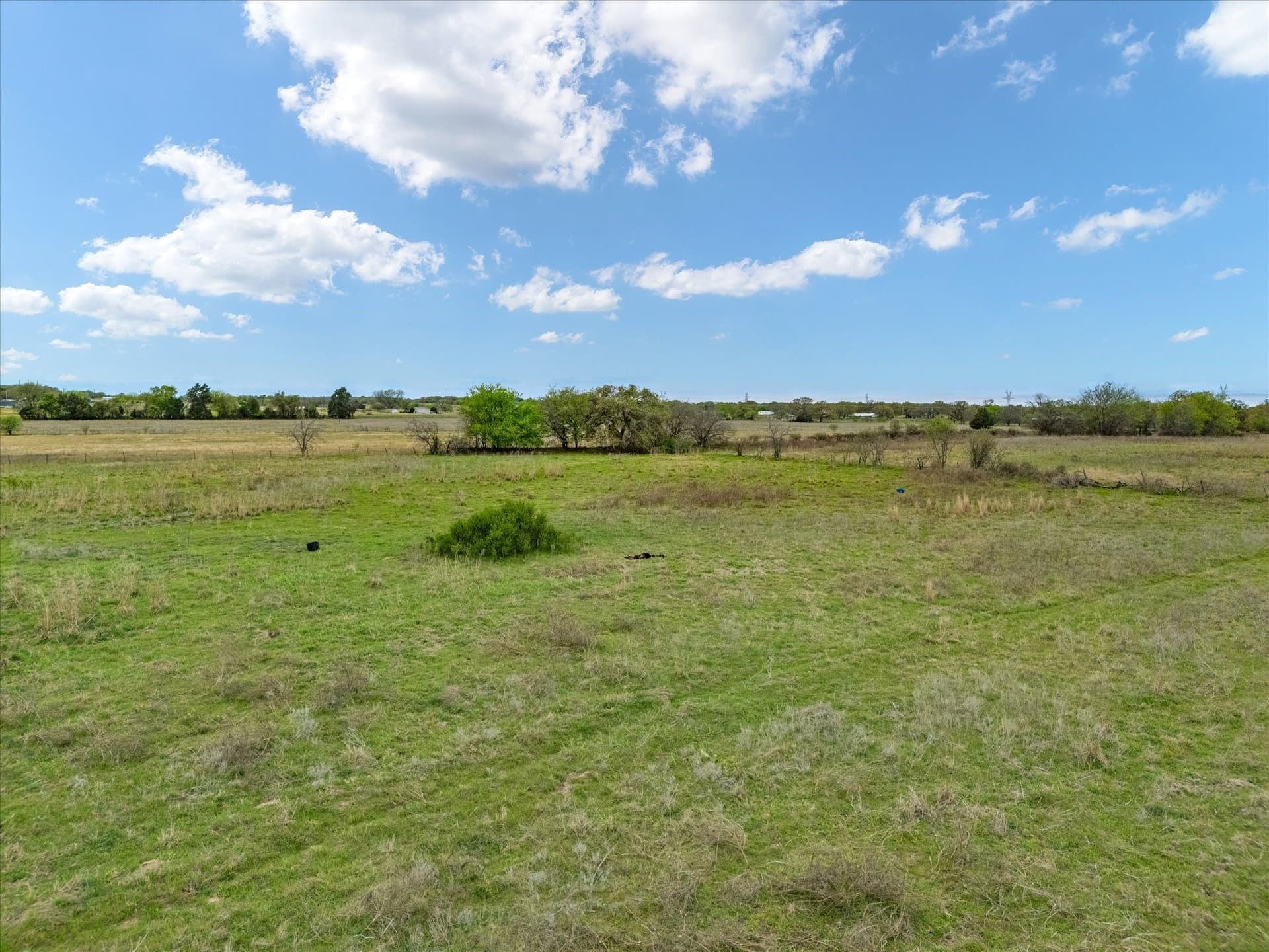 20 acres in Wise County - photo 25
