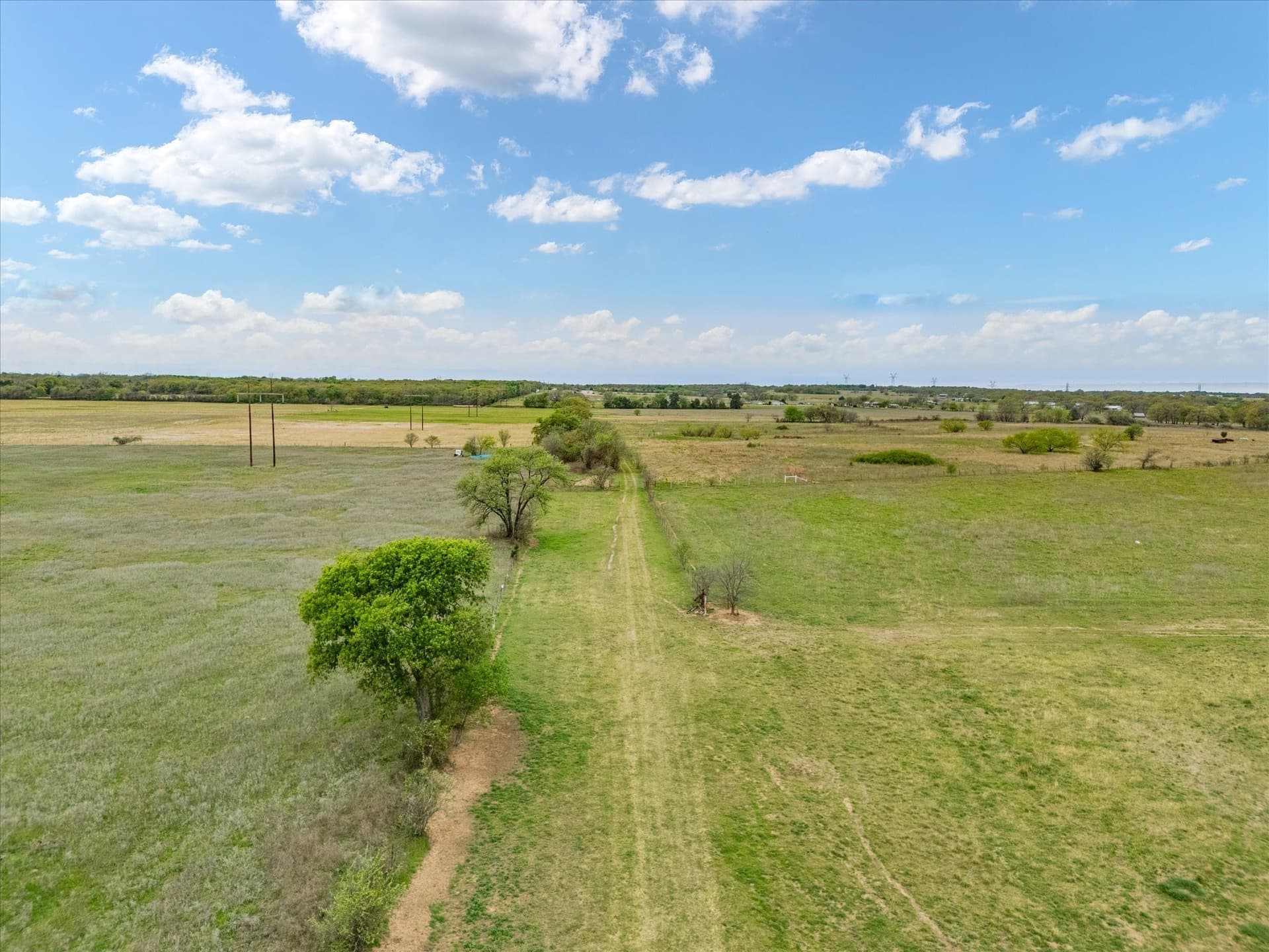 20 acres in Wise County gallery image 4