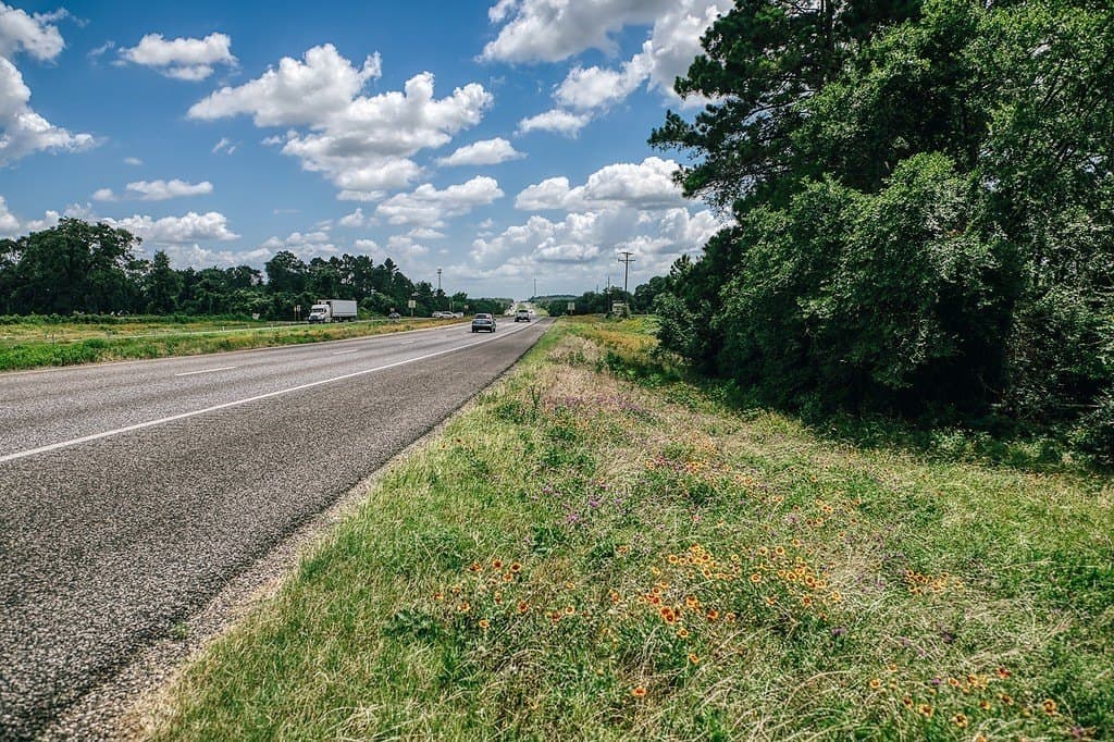 13.43 acres in Waller County featured view